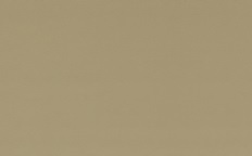 SE39-dark-beige.jpg